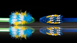 ¿Cada cuánto se cambia el cepillo de dientes? Consejos para una buena higiene bucal