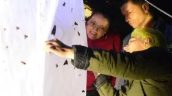 Aprenda sobre mariposas y polillas en el primer Lepifest en Manizales