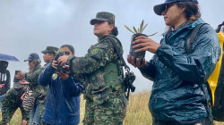 Siembran agua y vida en el Parque Nacional Natural los Nevados