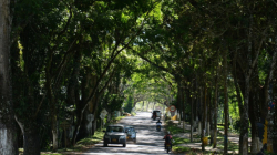 Viterbo reporta su primer caso de persona quemada por pólvora 