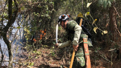 Colombia aumenta a 883 los municipios en alerta por riesgo de incendios forestales