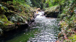 Sepa qué actividades están prohibidas en Caldas para evitar desabastecimiento de agua