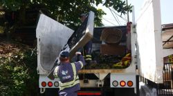 Arauca, corregimiento de Palestina, se une contra las basuras