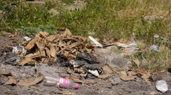 Arauca, corregimiento de Palestina (Caldas), le hace frente al mosquito del dengue
