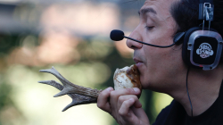 El arte de hacer de las plumas y huesos de aves muertas todo un concierto ancestral