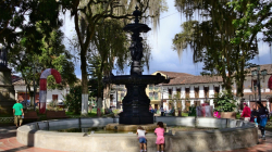 Realizarán fumigación en dos barrios de Salamina por casos de dengue