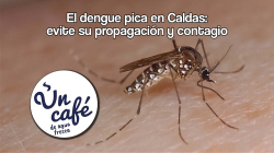 Dengue en Caldas: situación actual, síntomas y recomendaciones en Un Café de agua fresca
