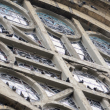 Palomas incomodan a la salida de la Catedral Basílica de Manizales