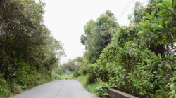 Cuerpo encontrado en la vía entre el barrio La Enea y la vereda Gallinazo, sin identificar