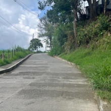 Maleza obstaculiza el paso de peatones del barrio Las Playas en Anserma