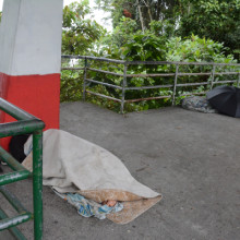 Media Torta de Chipre de Manizales, en mal estado