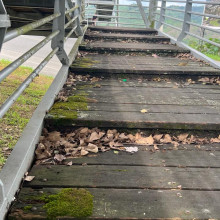 Reclaman mantenimiento de puente peatonal en Anserma 