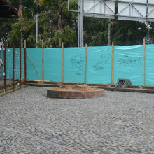 Talan palma canaria para evitar riesgo de caída en la Facultad de Arquitectura de la Unal