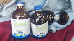 Manaure no producía sal, sino vicio: Fabricaba y vendía drogas sintéticas en Manizales