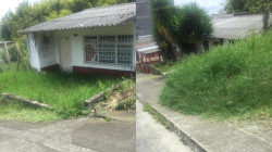 Maleza invade andén y obstaculiza tránsito de peatones en Anserma