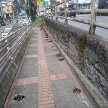 Excrementos y malos olores proliferan en sendero peatonal de la carrera 18 de Manizales