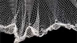 Trágico accidente: se le enredó la atarraya y se ahogó en Manizales