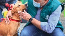 Envían a exalcalde de Pereira a la cárcel La 40