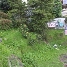 Continúan las quejas por basuras en Manizales