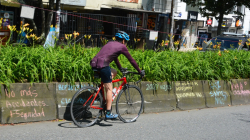 Reducir el separador de la avenida Santander de Manizales es un retroceso, dice arquitecto
