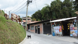 Aprueban escrituras para habitantes de Chachafruto (Manizales), pasa a sanción del alcalde