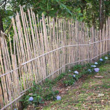 Denuncian predio cercado sobre la avenida Centenario de Manizales