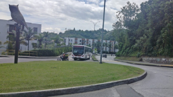 Transite con precaución: paso a un solo carril entre la Autónoma y Los Cedros