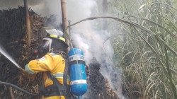 Trapiche panelero se incendió y desconocen las causas