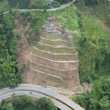 Cultivos de café preocupan en La Estampilla, en la vía Manizales - Medellín
