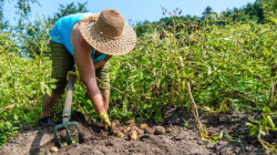 Atención, campesinos: así pueden obtener descuentos al comprar insumos agropecuarios
