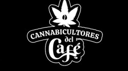 En Manizales y el Eje Cafetero se hablará por cuarta vez de cannabis y café