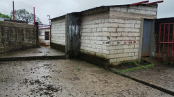 De ganado a elefantes blancos: situación de las 17 centrales de sacrificio en Caldas