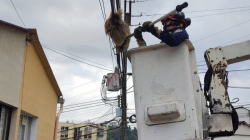 Video: Rescatan perezoso en cuerdas del alumbrado público de Manizales