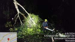 Tormenta causó caída de árboles y tapó vía en Norcasia