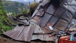 Video: vendaval causa afectaciones a familias del norte de Caldas