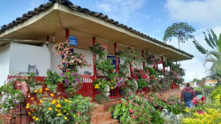 Paisaje Cultural Cafetero: trazan corredor turístico en Aranzazu