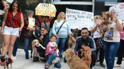 En Manizales protestaron contra el maltrato animal y exigieron justicia para Bongo y Mila 