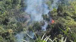 Incendio forestal entre Petaqueros y Manzanares restringe el paso vehicular