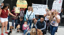 "Hablamos por los que no tienen voz": plantón en Manizales rechaza el maltrato animal