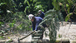 Remoción de escombros y continuación de censos, los trabajos en Samaná tras vendaval 