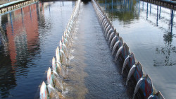 Corte de agua en Anserma (Caldas): nueva suspensión en el Acueducto Regional de Occidente