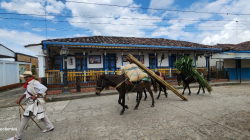 Pueblo Rico (Neira) se prepara para el domingo de arriería