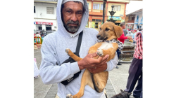 La cachorra Ofelia encontró el amor en jornada de adopción en Aranzazu (Caldas)