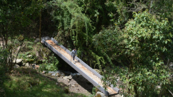 En Maltería la comunidad hizo convite para construir puente en el sector de Sabinas