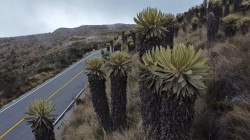 Pico y placa ambiental vía Manizales - Murillo: restricción este 26 y 27 de octubre 2024
