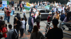 Contra los cultivos de aguacate: 100 campesinos de Caldas marchan en Manizales