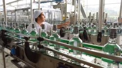 Ventas de la Licorera de Caldas alcanzaron los $65 mil millones, ¿cómo terminará el 2024?