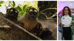 Estas son las seis fotos más bellas del IV Concurso de fotografía de LA PATRIA