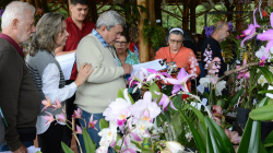 La Exposición Nacional de Orquídeas encabeza la programación cultural en Manizales este fin de semana