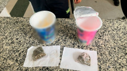 En el yogurt y en sus partes íntimas escondían droga que iba para detenidos